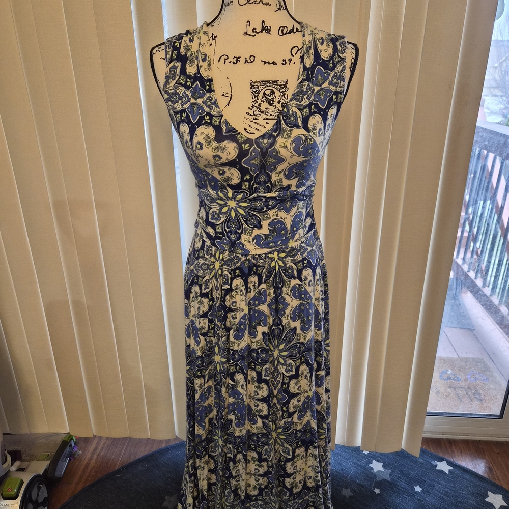 Anthropologie Blue and White Sleeveless Printed Maxi Dress